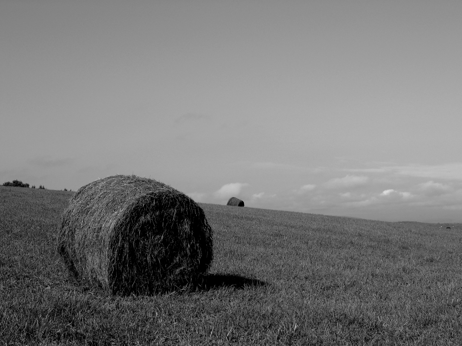 Hay Bale